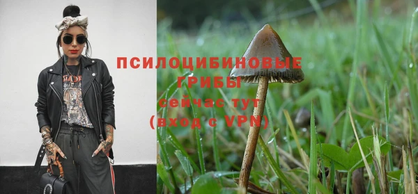 MESCALINE Гусиноозёрск