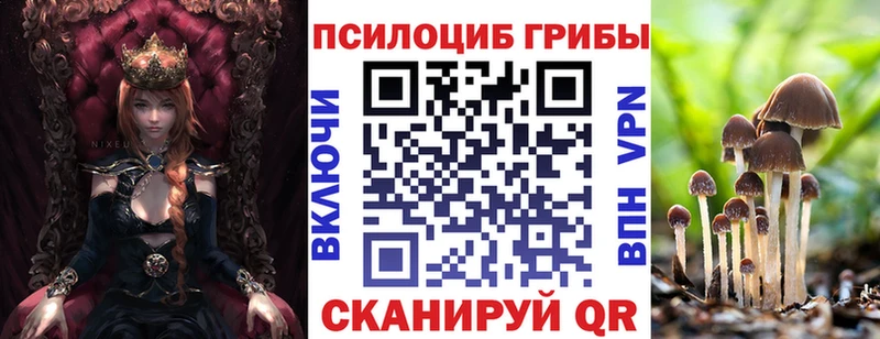 Псилоцибиновые грибы Psilocybine cubensis Братск